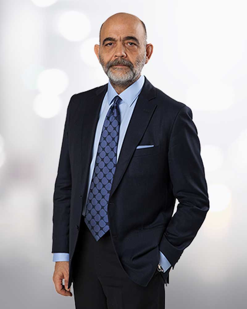 Prof.  Dr. Mehmet Ali Yerdel